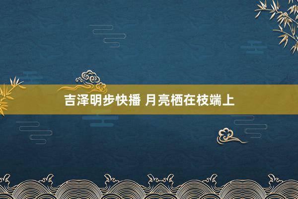 吉泽明步快播 月亮栖在枝端上