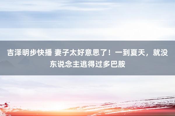 吉泽明步快播 妻子太好意思了！一到夏天，就没东说念主逃得过多巴胺