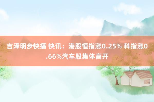 吉泽明步快播 快讯：港股恒指涨0.25% 科指涨0.66%汽车股集体高开