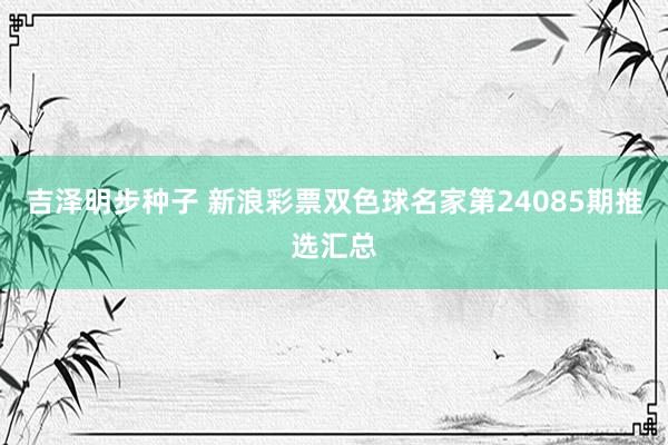 吉泽明步种子 新浪彩票双色球名家第24085期推选汇总