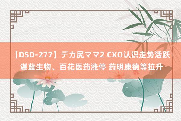 【DSD-277】デカ尻ママ2 CXO认识走势活跃 湛蓝生物、百花医药涨停 药明康德等拉升