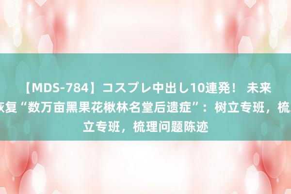 【MDS-784】コスプレ中出し10連発！ 未来 宁夏泾源恢复“数万亩黑果花楸林名堂后遗症”：树立专班，梳理问题陈迹