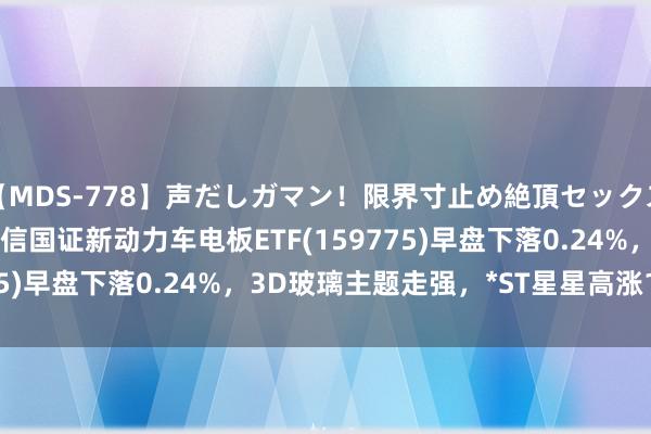 【MDS-778】声だしガマン！限界寸止め絶頂セックス 未来 ETF最前哨 | 建信国证新动力车电板ETF(159775)早盘下落0.24%，3D玻璃主题走强，*ST星星高涨12.94%