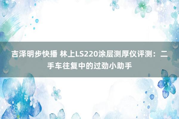 吉泽明步快播 林上LS220涂层测厚仪评测：二手车往复中的过劲小助手