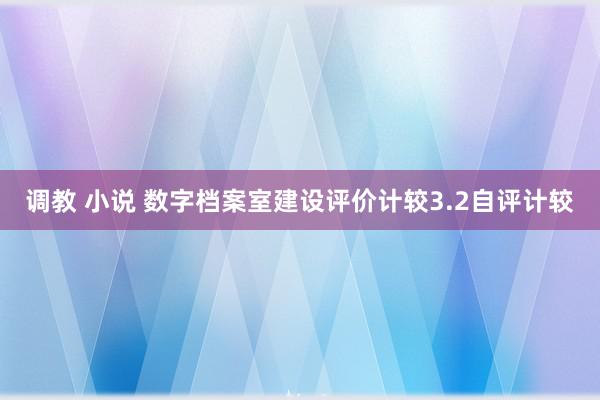 调教 小说 数字档案室建设评价计较3.2自评计较