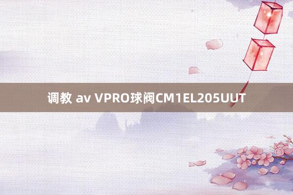 调教 av VPRO球阀CM1EL205UUT